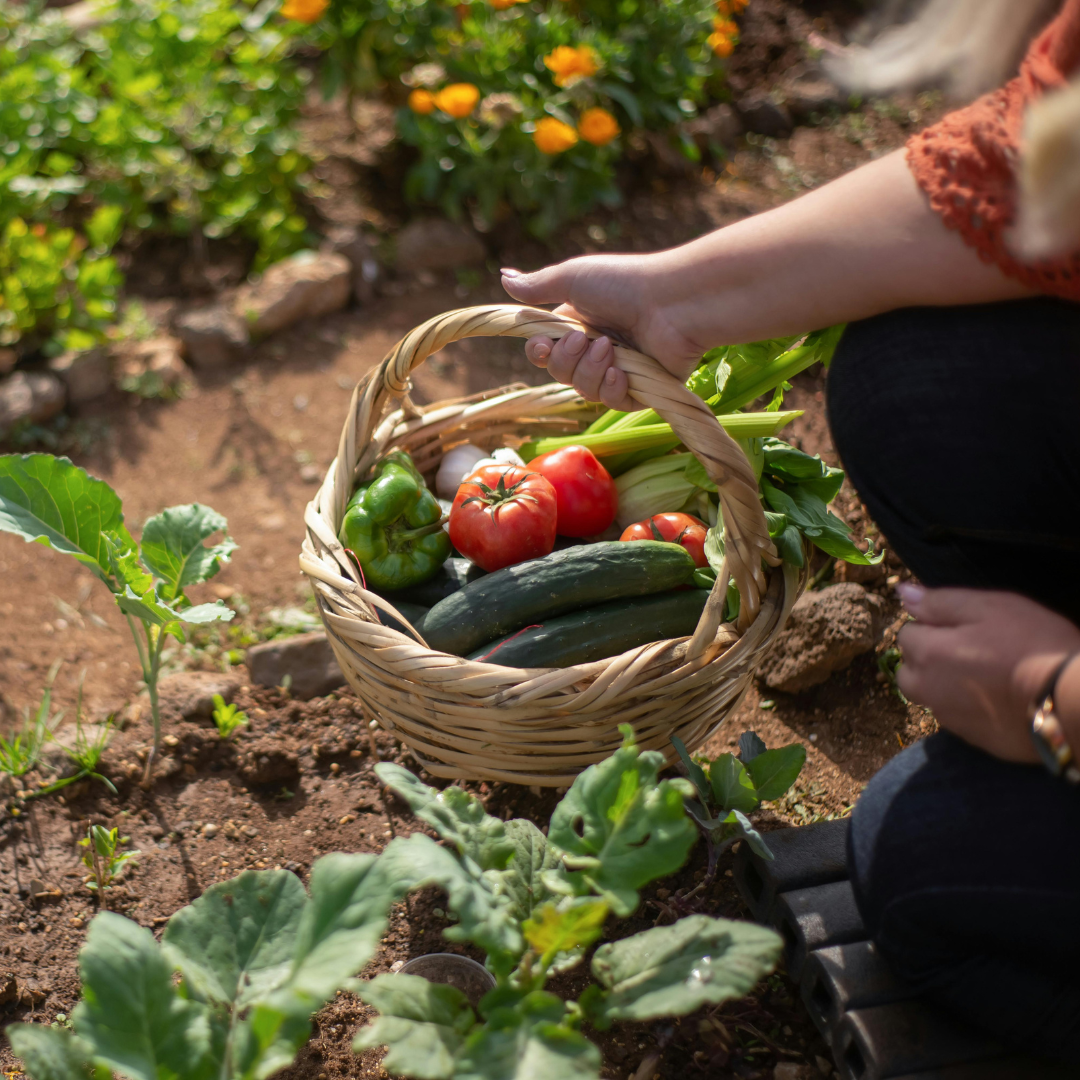 frutas y verduras orgánicas